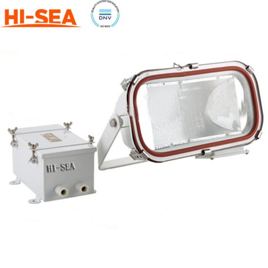 Stainless Steel Flood Light